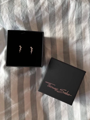 Thomas Sabo örhängen  - Säljer ett par helt nya örhängen ifrån Thomas Sabo (fick dubbletter i present). Nypris ca 500kr. Så så fina 