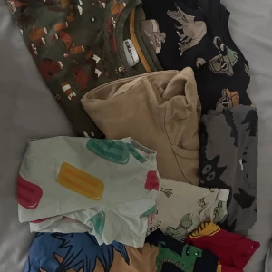 Färgglada t-shirts med djurmotiv barn - Säljer ett gäng t-shirts o långärmade med coola tryck som dinosaurier, vargar, glassar och andra djur. Färgerna är blandade med inslag av grön, beige, blå, röd och gul. Perfekt som dagiskläder! 5 av varje! 