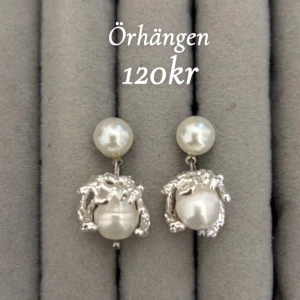 Silvriga örhängen med pärlor - Par 