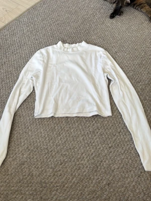 Vit croppad långärmad polotopp - Säljer en enkel och stilren vit croppad polotopp med lång ärm och lätt rynkad krage. Perfekt att matcha med jeans eller kjol. Materialet känns mjukt och stretchigt, vilket gör den bekväm att bära.