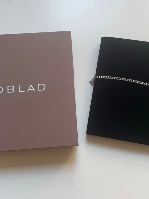 Silverfärgat kedjehalsband från Edblad  - Snyggt och stilrent halsband i silverfärg från Blad. Halsbandet har en klassisk kedjedesign och är tillverkat i metall. Perfekt för dig som gillar minimalistiska accessoarer och vill ha något som funkar till många olika looks.