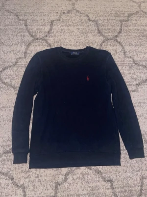 Blå tröja från väl känt märke  - Dm vid intresse