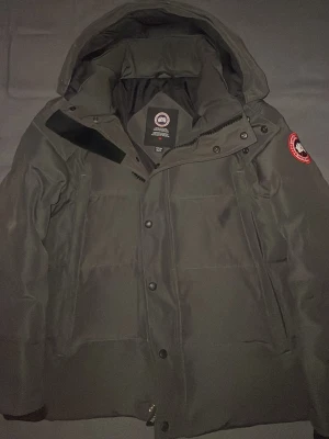 Grå pufferjacka från Canada Goose - Säljer en sgrå  pufferjacka från Canada Goose med huva och klassisk logga på ärmen. Jackan har dragkedja och knappar framtill, samt flera fickor. Materialet är polyester och dun, perfekt för kalla dagar. Stilen är loose och jackan är långärmad.