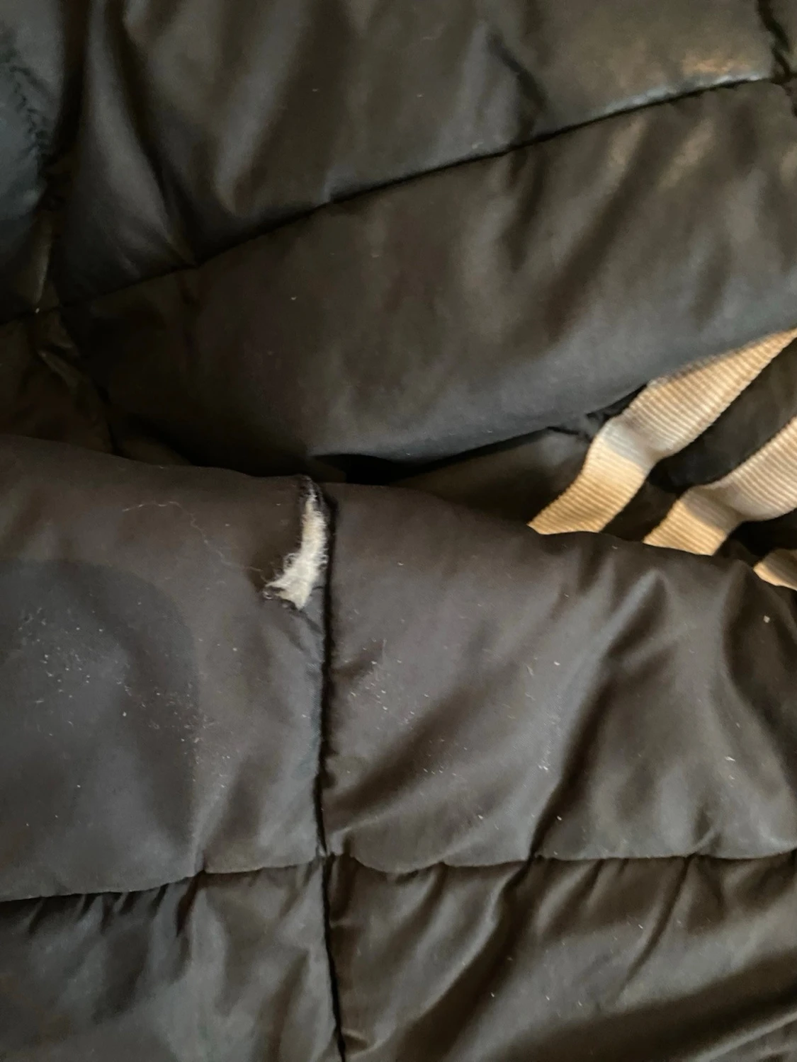 Svart dunjacka med huva från Adidas - 3