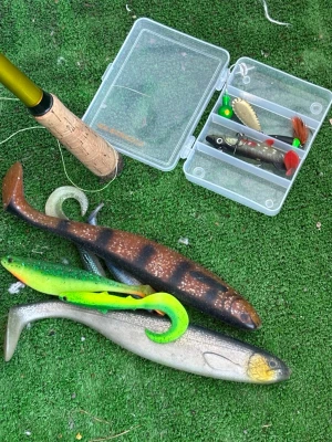 Fiskedrag och beten i mixad färg - Säljer ett set med fiskedrag och beten i olika färger och former. Inkluderar stora mjuka gummibeten i brunt, grönt och silver samt en ask med olika spinnare och wobblers. Perfekt för dig som gillar fiske och vill ha variation i beteslådan.