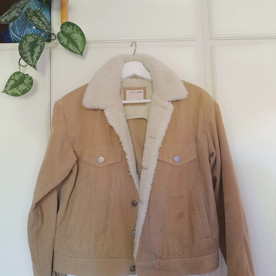 Beige Manchester Jacka med Teddykrage