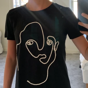 Svart t-shirt med broderat tryck - En svart t-shirt från Zara med ett broderat tryck! Köparen står för frakten!!