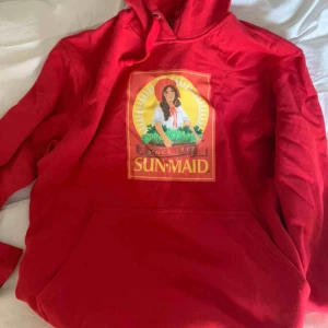  - Säljer denna asfeta russinhoodie, vann den på en tävling men den har inte riktigt kommit till användning. Storlek L men skulle mer säga Oversized S/M. Köparen står för frakt💕 ledande bud: 300 plus frakt❤️