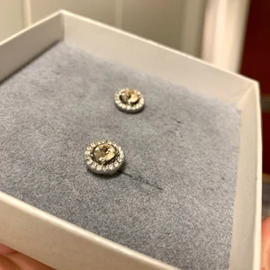 Lily & rose örhängen  - Örhängen från lily and rosé✨ 40kr+frakt