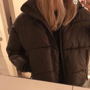 Brun pufferjacka - Intressekoll på min bruna pufferjacka från weekday jag köpte förra vintern för 800kr, säljs inte längre. Lägg bud från 200kr. Budgivningen avslutas ikväll 22:00 (5/1) 