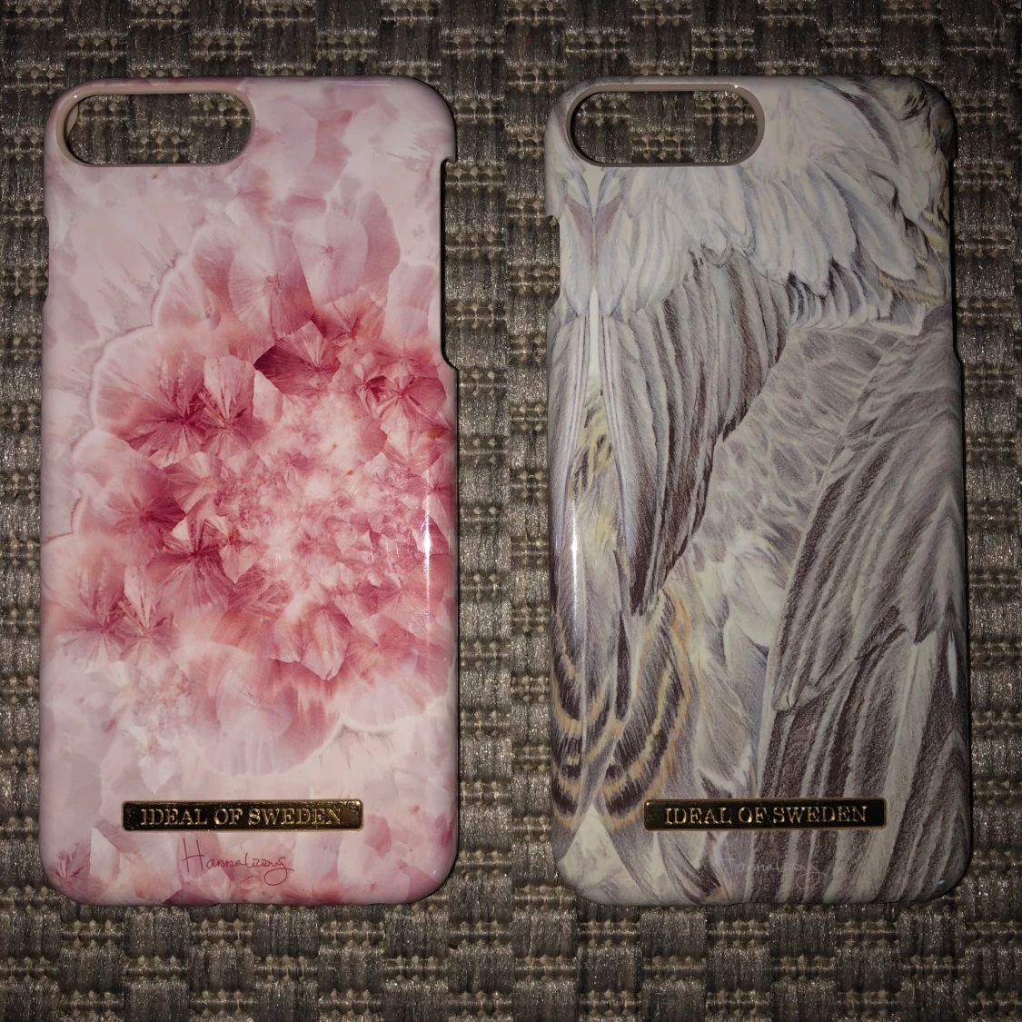 Ideal of Sweden skal