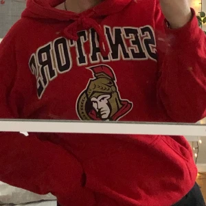 Sweatshirt med tryck från beyond retro  - Köpt på beyond retro, väldigt skön, har bara använts ett par gånger, kostade från början 350kr men säljer för 100kr+ frakt 