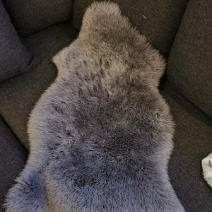  Fårskinn  - Fårskinn 100% äkta ull. Köpt på rusta för ett år sedan. Har bara legat som dekoration. Mycket fint skick och snygg inredningsdetalj. 