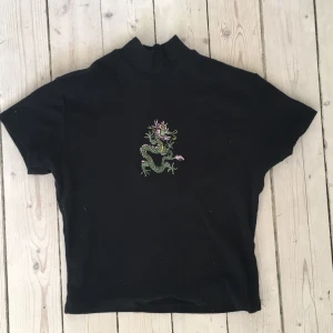 Draktröja - Söt kortärmad polotröja med en  drake på från Brandy Melville! Frakt är inte inkluderat. Kan frakta och mötas i Stockholm! (: 💕