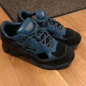 Raf simons strl 43 - Retail 3000, säljer för 500 +, skriv för fler bilder💯❗️