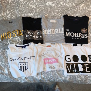 T-shirts  - Alla är i bra skick! (Grå T-shirt gul text & ”Wild heart T-shirt, ginatricot, (Strl xs)50kr st)🤍 Gant tshirt (strl 146/152/xs) 90kr. Levis T-shirt (12år/xs) 90kr. Bondelid T-shirt (strl xs) 80kr. ”Good vibes” Diesel T-shirt (12år,oversized) 90kr. Morris lady T-shirt (strl S) 100kr. Hör av er vid frågor eller mer bilder💕 Alla T-shirtar för 220kr!
