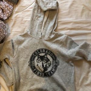 Hoodie - En asscool hoodie med en varg på.