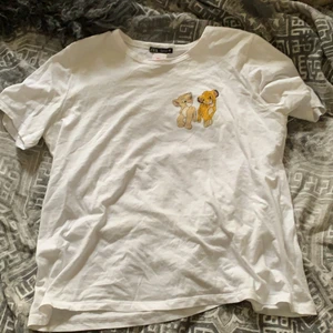 Zara tröja i storlek L - Säljer denna fina tröja från zara i storlek L för 60kr + frakt 