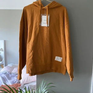 Acne Studios Hoodie  - Acne Studios Hoodie Fyona. FRI FRAKT INOM SVERIGE. Helt ny och oanvänd med tags. Fyona Wash Label Hoodie.  Brun/orange. Storlek S men den är väldigt oversized så skulle säga att den passar M-L.  Archive. 