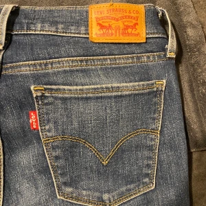 Levis jeans thermo - Lågmidjade levis jeans med thermo så är extra sköna på vintern. Pris kan diskuteras. I nyskick. 