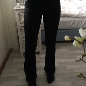 Svarta bootcut jeans från Ginatricot, säljer då jag inte använder bootcut längre. De sitter perfekt på mig och jag är 166 cm. Frakt tillkommer! <3