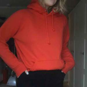 Orange hoodie köpt på Bik Bok. I storlek S och är inte så oversized i storleken så den passar nog XS/S, jättecool men kommer inte till användning därför säljer jag den nu✨