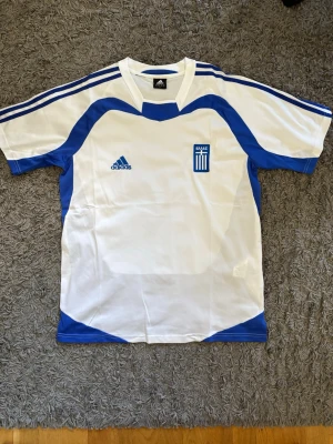 Grekland Adidas fotbollströja 2004 - Storlek L - Från när grekland vann EM 2004