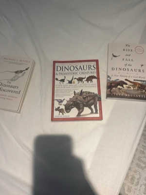Dinoböcker: Fakta och historia 4 i en  - 4 böcker om dinosaurier och förhistoriska varelser. Omslagen har illustrationer av dinosaurier i naturtrogna färger. Böckerna är i pocket- och inbunden format, med titlar som fokuserar på dinosauriers upptäckt, historia och arter. Perfekt för dig som älskar äventyr och vetenskap.