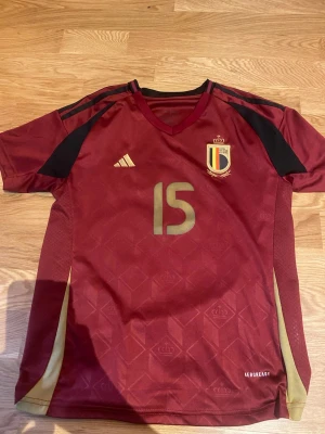 Belgien matchtröja Meunier 15 - Snygg vinröd Belgien matchtröja från Adidas med guldiga detaljer och nummer 15, Meunier på ryggen. Tröjan har svarta och guldiga inslag, V-ringning och officiellt landslagsmärke på bröstet. Perfekt för fotbollsfans!