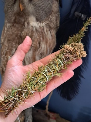 🌿Smudge / rökelse  av enris och rölleka✨️ - Rensa ditt hem från tung energi med denna unika, handbundna rökelsekvast av enris och rölleka. 🌿✨ Enriset bär på en uråldrig tradition av att rena rum och skapa ett starkt skydd mot negativitet. Tillsammans med röllekans helande och stärkande kraft ger denna rökelse en djup, jordande doft av vild natur. Perfekt för dina reningsritualer, meditationer eller när du vill bjuda in ny, frisk energi.Fyll ditt utrymme med skogens klara harmoni.