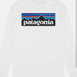 Patagonia  - Patagonia longsleeve från junkyard. Köptes för 500kr säljs för 250kr. Frakt ingår ej. Killavdelningen