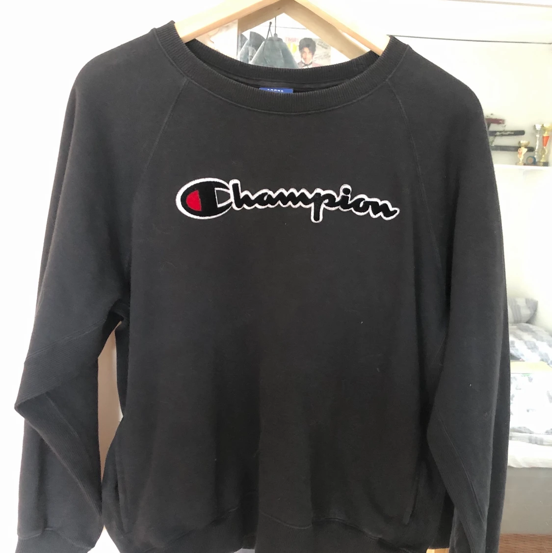 Champion sweatshirt 