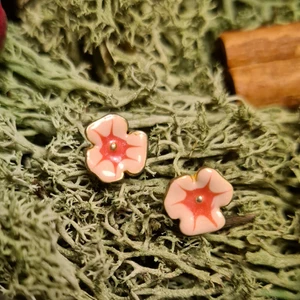 Örhänge  - Örhänge format som en blomma                            Använt ett fåtal gånger                                             Frakt tillkommer, 25kr 