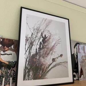 Bilde + ramme fra Desenio - Bilde og svart ramme fra Desenio. Picture and black fram from Desenio. 