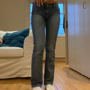 Köpte dessa jeans på second hand, de är i bra skick och jag har använt de endast ett fåtal gånger. Storlek S, bra i i storleken. Säljer pga de är för korta i benen, jag är ca 165 cm. 