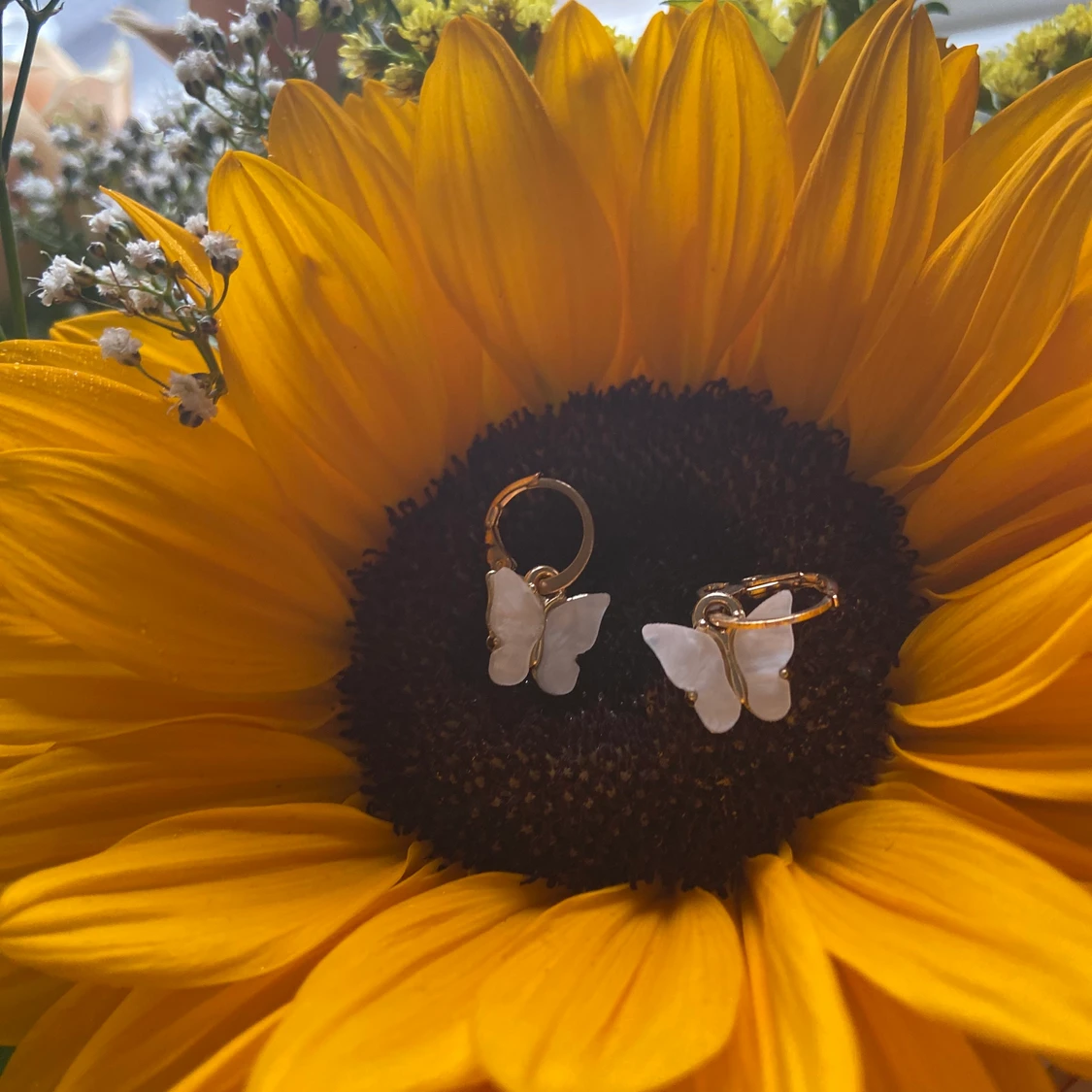  fjärils örhängen🌻🦋