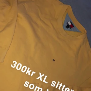 Hilfiger, champion  - Rensar min garderob! Riktigt snygga tröjor som tyvärr inte kommer till användning🤜🏽🤛🏽