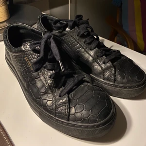 Axel Arigato storlek 37 - Axel Arigato snakeskin i storlek 37 i mycket fint skick! Säljer på grund av att de inte kommer till användning.   Kan mötas upp i Stockholm eller skicka med posten mot en avgift på 66kr! :)
