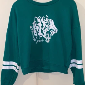 Vanlig tröja  - Det är en vanlig tiger tröja två olika färger det är mest som en magtröja. Används under vår/höst skriv om ngn är intresserad. Det är kanske i en stor storlek men ärligt det är mindre typ M.
