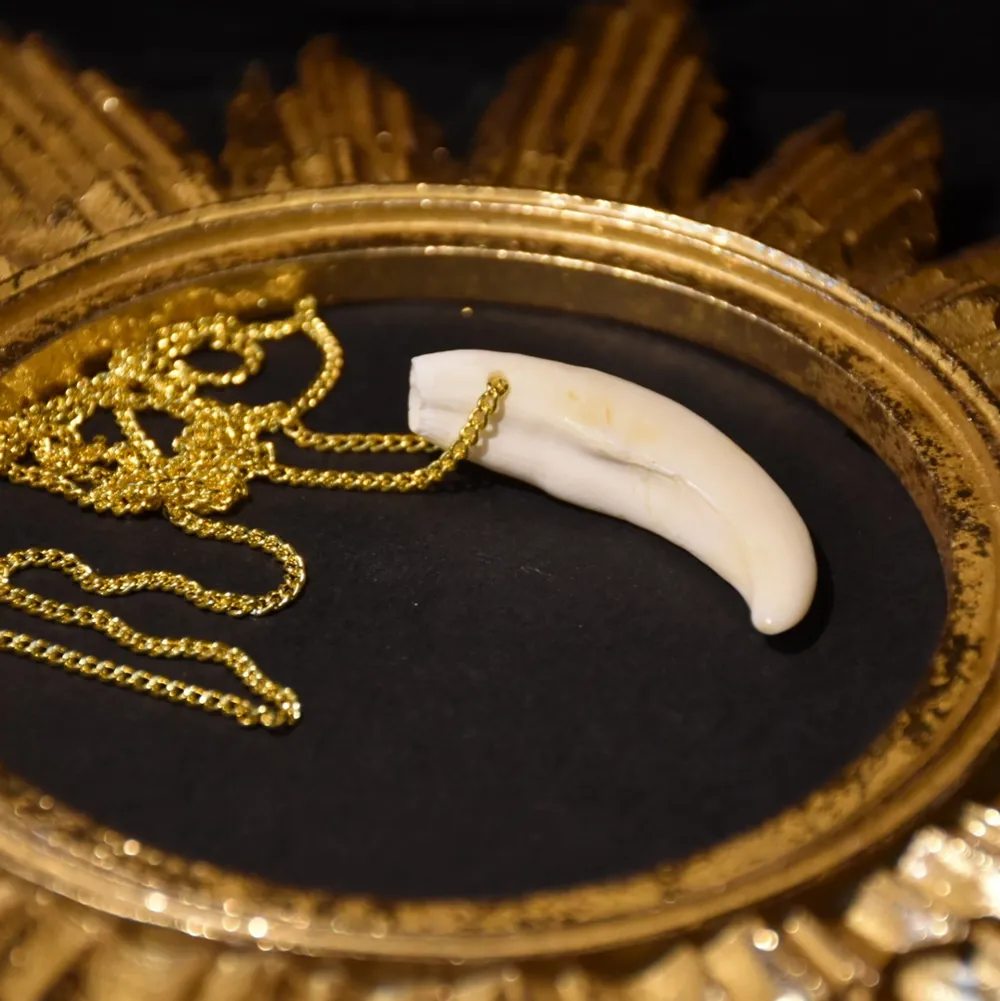 Halsband med en tand ifrån vildsvin och en guldig kedja. . Accessoarer.