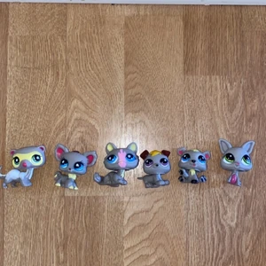 Little pet shop  - Säljer mina gamla Pet shops. De har gått upp i värde eftersom att de inte går att få tag på längre. Men jag har valt att sälja dessa för 10 kr st. Hör av dig privat om du är intresserad 💕 Köparen står för frakten, den blir olika beroende på hur många du köper🤩 Du kan även köpa alla på bilden för 50 kr💕