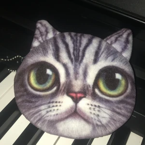 Ny kattplånbok - Supersöööt 