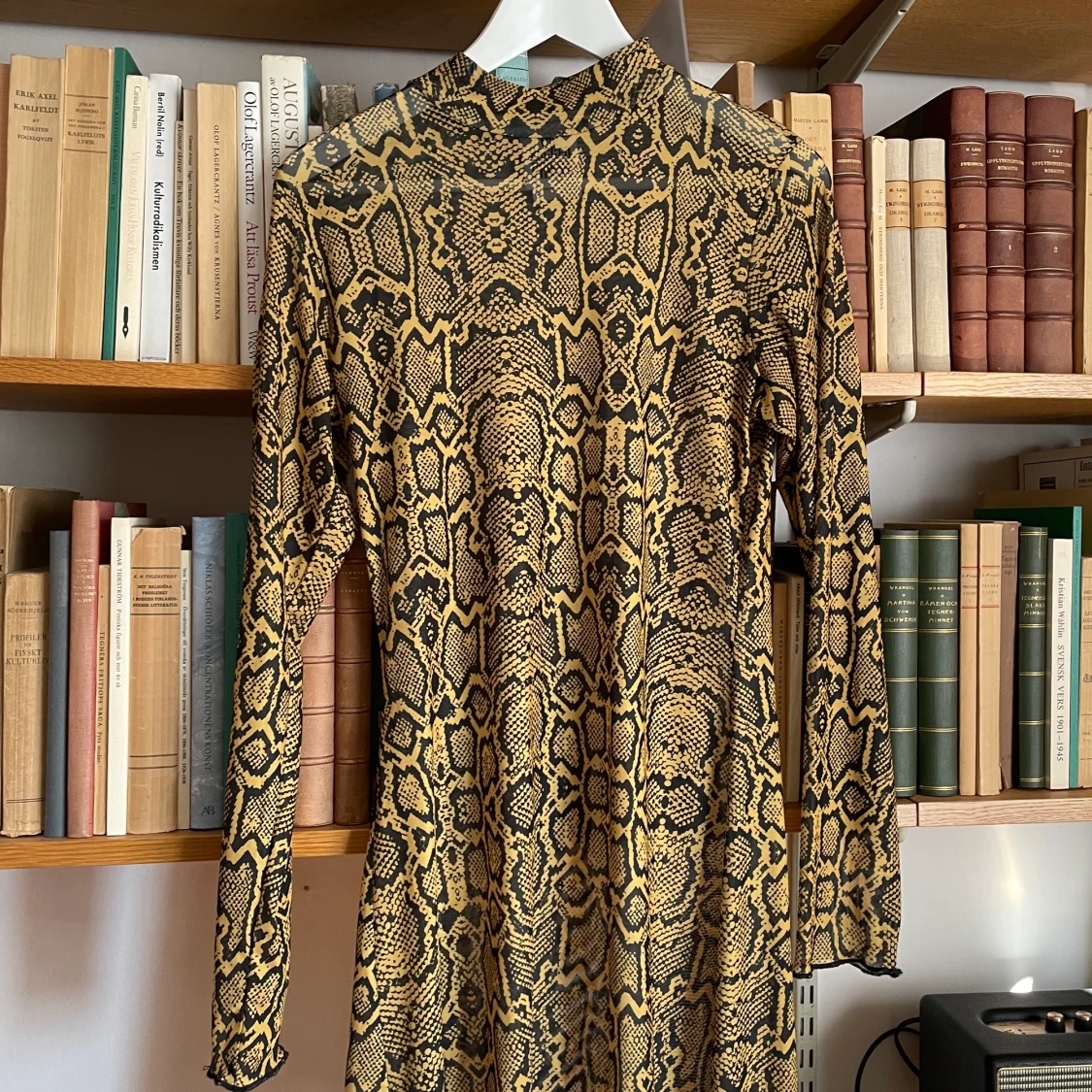 The Ragged Priest meshklänning