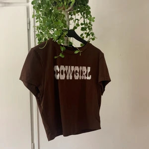 Brun topp - En jättefin brun COW GIRL topp i storlek M från SHEIN den är aldrig använd bara provad på och som ny 🤎