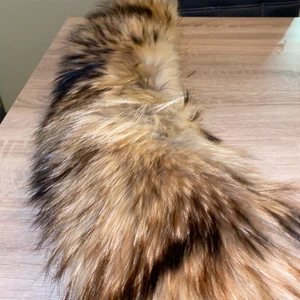 Pälskrage - Säljer en helt ny pälskrage som blev felbeställt av min mamma. Vet ej om det är äkta päls då det känns som det men jag inte har någon sorts bevis på det. Köpt för 699 Skriv privat vid frågor!💙 bud 350