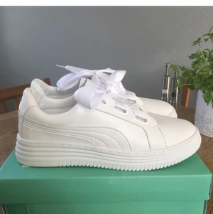 Nya sneakers 🎂 - Sötaste & coolaste sneakers 🎂 Oanvända 🎂 Extra snören tillkommer 🎂