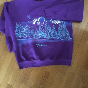 Beyond retro sweatshirt  - Vintage sweatshirt från beyond retro. Använt en gång, super skön men  ehlver göra plats i garderoben! Startpris 250kr - avslutat auktion på fredag. 