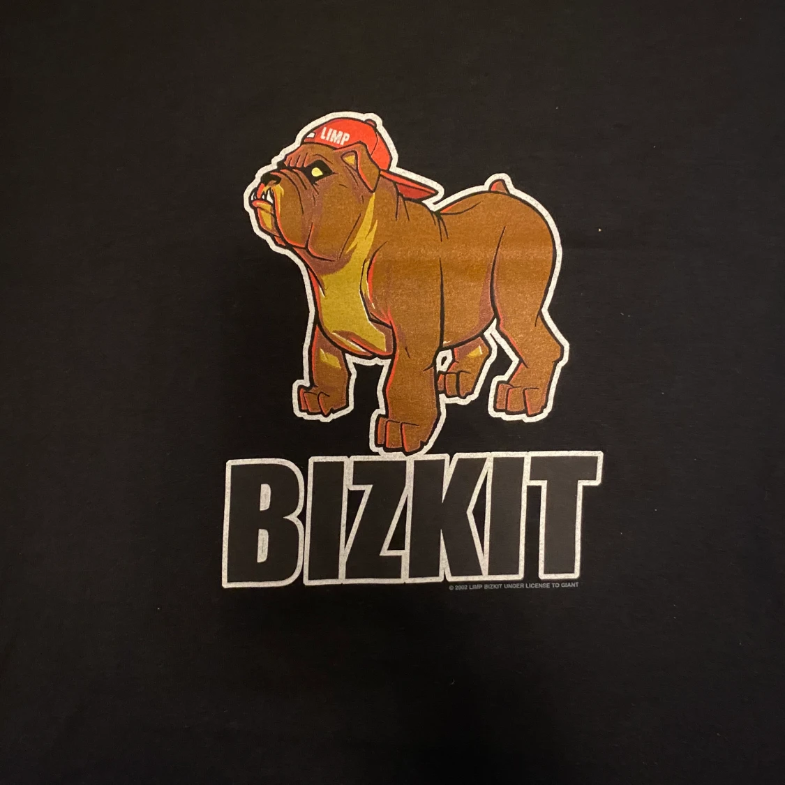 Vintage bizkit tshirt - 90
