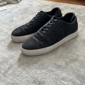 Axel Arigato platform skor - Arigato platforms i storlek 44 som är i mycket gott skick Ingen slitning på material Nypris 2300