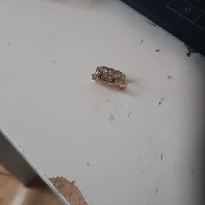 Örhänge - Ert örhenge